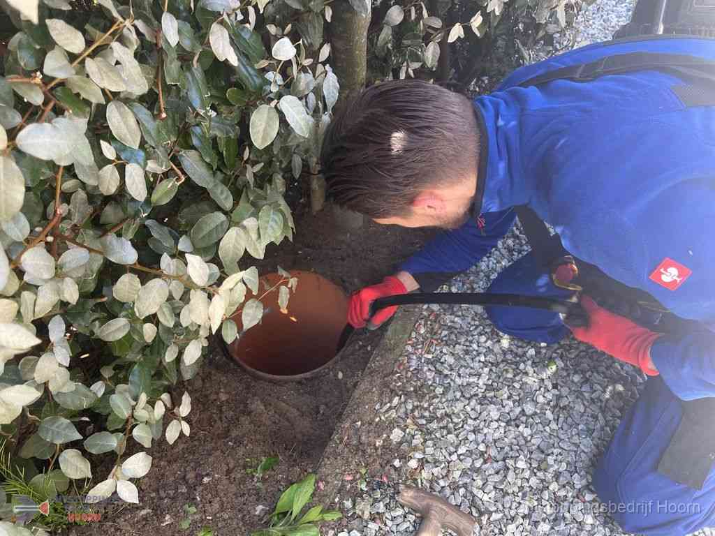 Rioolvliegjes Hoorn Rioolvliegjes Hoorn